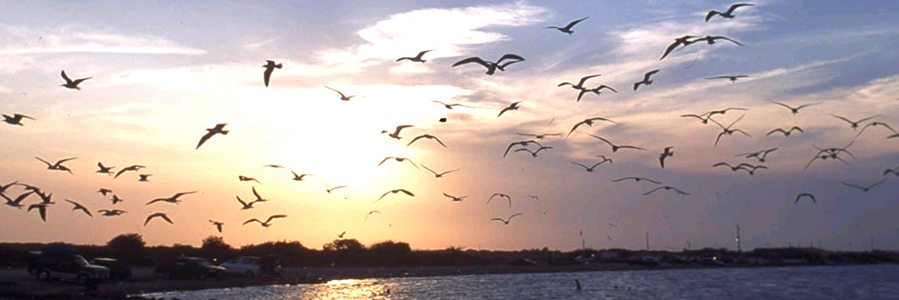 playas de tamaulipas